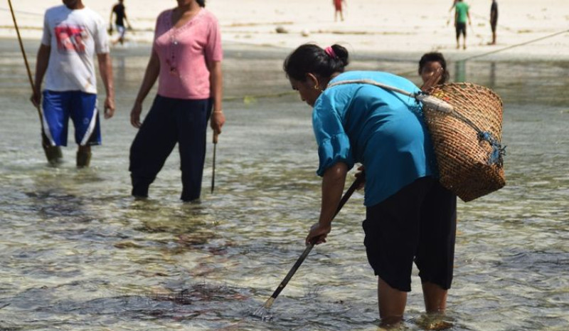 Cuaca Buruk, Warga Desa Bahari di Buton Selatan Tangkap Ikan dengan Tombak  Artikel ini telah tayang